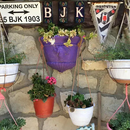 Belen 3* سيدي