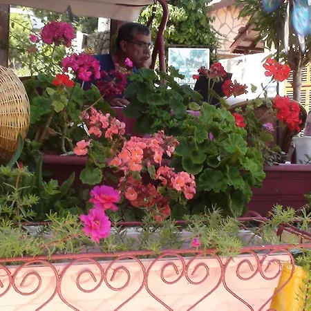 Готель Belen Сіде