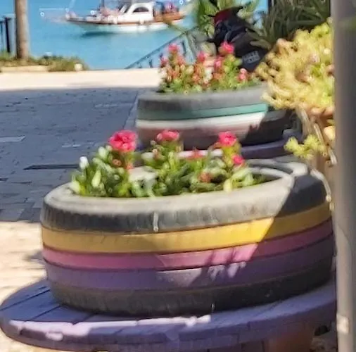 Belen ホテル シダ