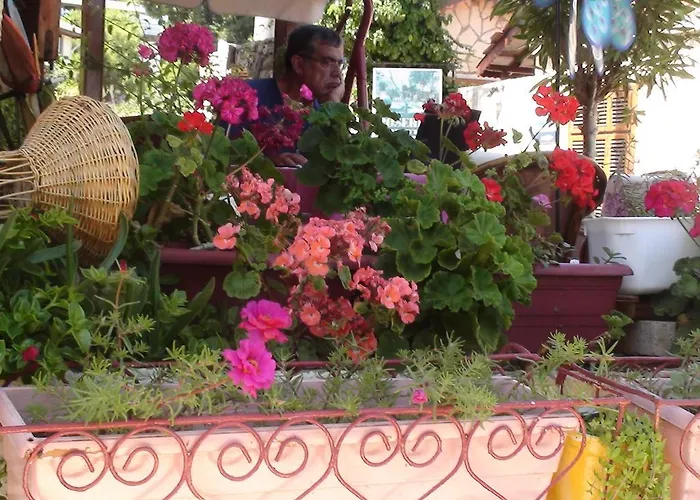 ホテル Belen シダ