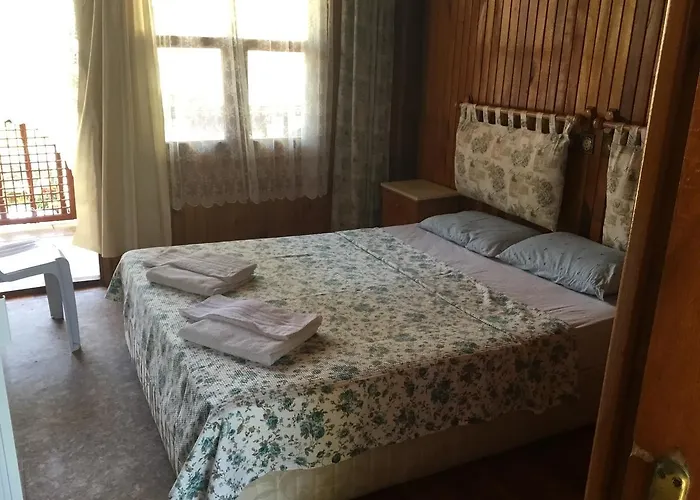 Belen ホテル シダ