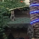 贝伦酒店