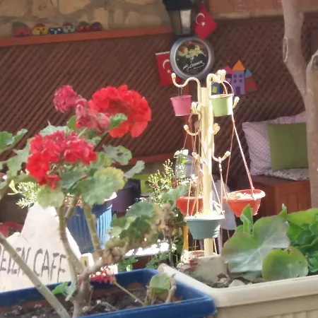 Belen מלון סייד