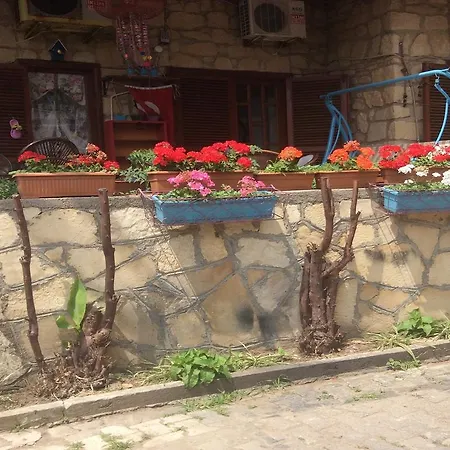 Belen Hotell 3*
