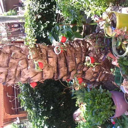 Belen Hotell Side
